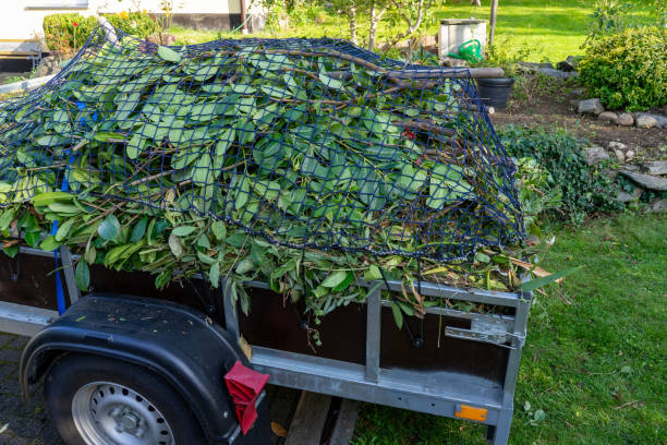 Best Yard Waste Removal  in Pasadena, CA